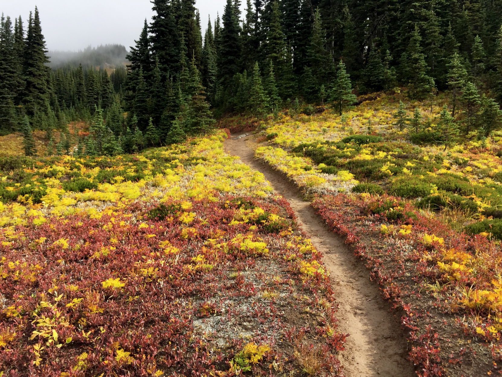 Cloudy Pass trail